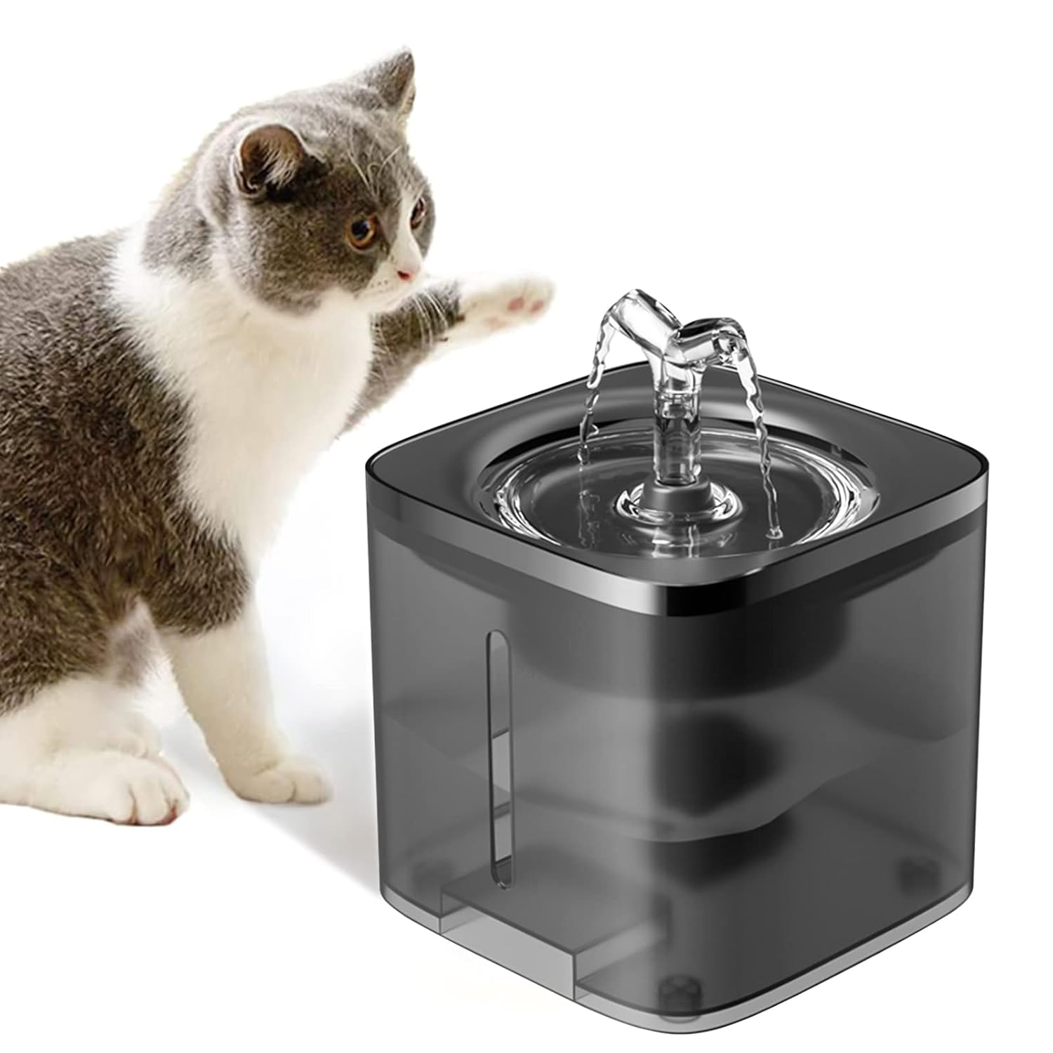 cat water fountain